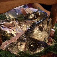 魚めし 竹亭 - 本日のお魚