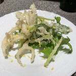 コンカドーロ - 