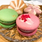 DOTORI MACARON - 