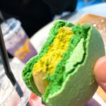 DOTORI MACARON - 