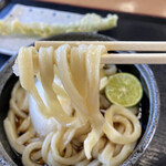 本格手打うどん はゆか - 太くて力強くてダイナミックな麺！これぞ讃岐うどん♡