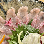 ひさご寿し - 岩床なまずのお造り