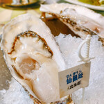 Oyster Bar ジャックポット - 