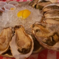 グランド・セントラル・オイスターバー&レストラン 品川店 - 