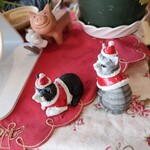 カフェ・アカリ - 