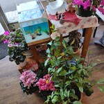 カフェ・アカリ - 