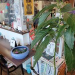 カフェ・アカリ - 