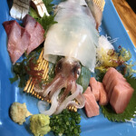 長崎炉ばた はち舎 - お刺身おまかせ３種と烏賊の姿造り