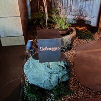 Selvaggio - 