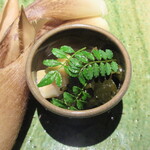 日本料理 TOBIUME - 北九州 合馬の筍の旬