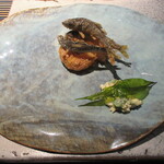 日本料理 TOBIUME - 今年もゲスト食材の天龍鮎は美味しかった