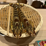 鮨 銀座 おのでら - 車海老