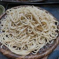 日本橋 やぶ久 - 蕎麦（アップ）