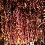 歓の季 - 仙台光のページェント