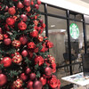 スターバックス コーヒー MIDORI松本店