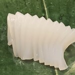 地魚料理・鮨 佐々木 - 障泥烏賊