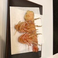 天冨良 よこ田 - 