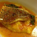 TRATTORIA AL SODO  - 