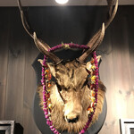 ヒマラヤテーブル - 祝い再開（笑）？