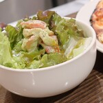 トリワイン ＰＩＫＯＳＨＨＨＵ - サラダ