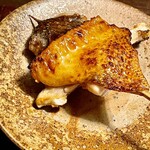 鳥田中 - 七谷地鶏の手羽　皮目のパリッと感が強調されていてとても良い焼き上がりです