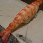 礎 - クルマエビ（茹）　　プリっとした歯ごたえに甘みが濃厚だった　