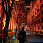 タパス モラキュラーバー - 