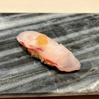 新宿 鮨 よこ田 - 