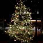 SESSiON - Christmas Tree2021