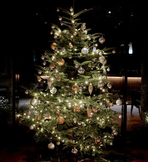 SESSiON - Christmas Tree2021