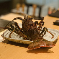 日本料理FUJI - 伊勢海老ご登場