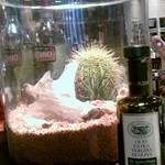 欧風小皿料理 沢村 - オリーブオイルとサボテン