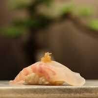 新宿 鮨 よこ田 - 