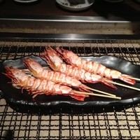 まりも亭 - 天然有頭海老９８０円（２ケ）
