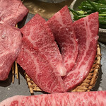 Wagyuu Yakiniku Toku - 