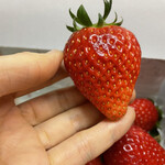 姫路ハートフル観光農園 - 