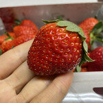 姫路ハートフル観光農園 - 