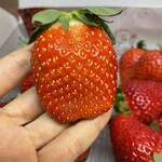 姫路ハートフル観光農園 - 