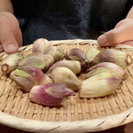 たでの葉 - 秋田から蕗のとう
      まさか春の山菜が今の時期にあるとはびっくりしました。
      本来は落ち葉に埋もれこれから雪をかぶり越冬するそうですが、まだ若いつぼみの状態なのだそうです。
      春にはふわっと咲きます♪