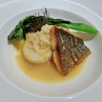 ミチノ・ル・トゥールビヨン - 