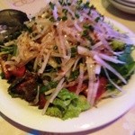 ブルシューター - 大根サラダ