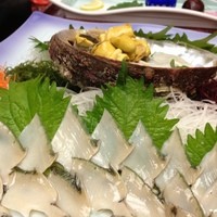 稚加榮 本店 - 鮑刺し♪
