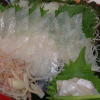 稚加榮 本店 - 平目刺しアップ♪