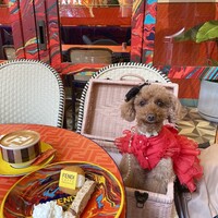 アニヴェルセル カフェ -  アニヴェルセル カフェ -