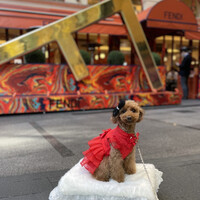 アニヴェルセル カフェ -  アニヴェルセル カフェ -