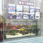 ラーメン二郎 - 海水熱帯魚