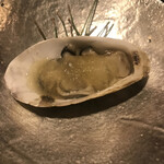 酒肴 大阪まんぷく堂 - 