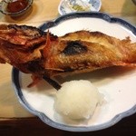 福よし - 喜知次を頂きます。最高のお魚が最高の焼き加減で出てきます。