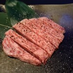 Puranetariumuyakiniku sebuntsuandobabi - 