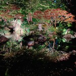 成生 - ライトアップされたお庭